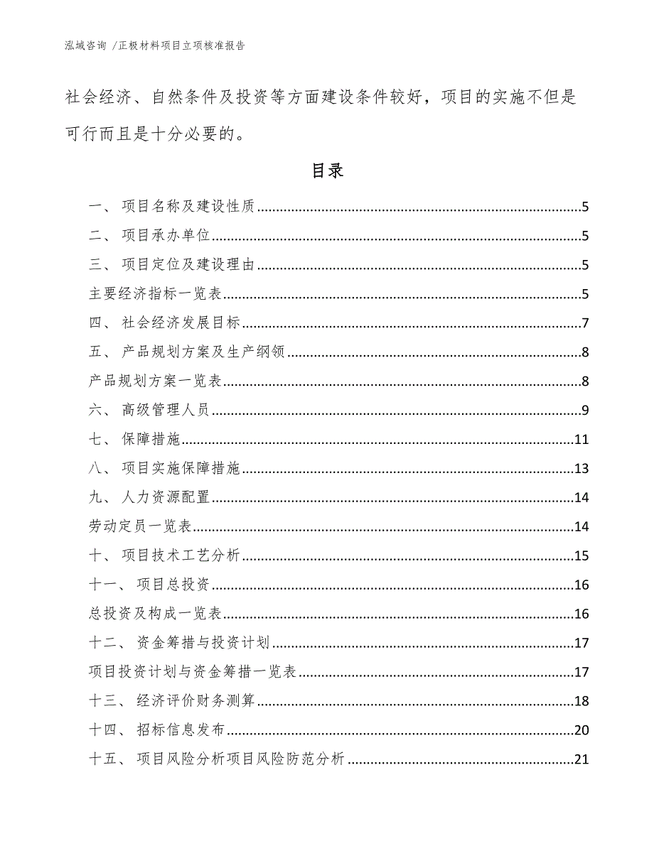 正极材料项目立项核准报告-（模板范文）_第3页