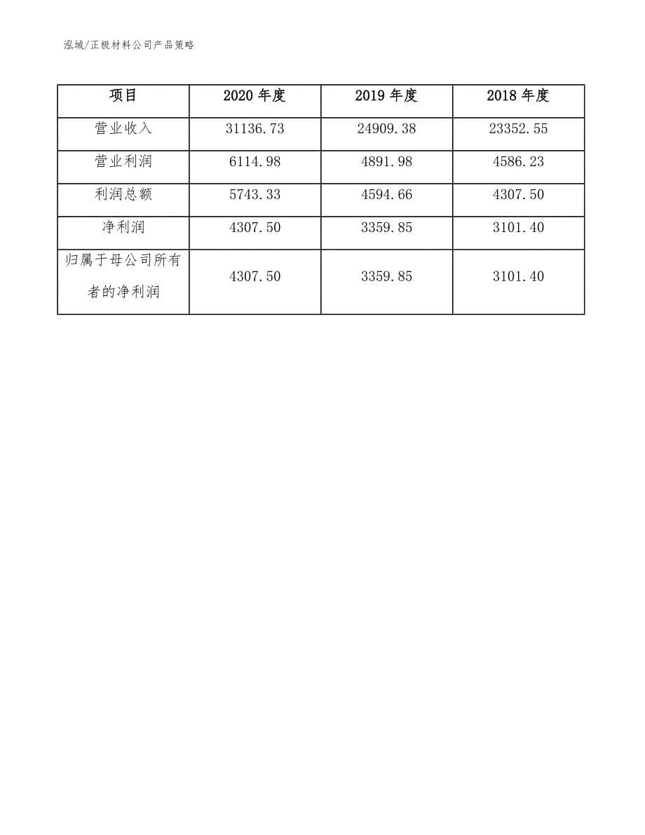 正极材料公司产品策略_第5页