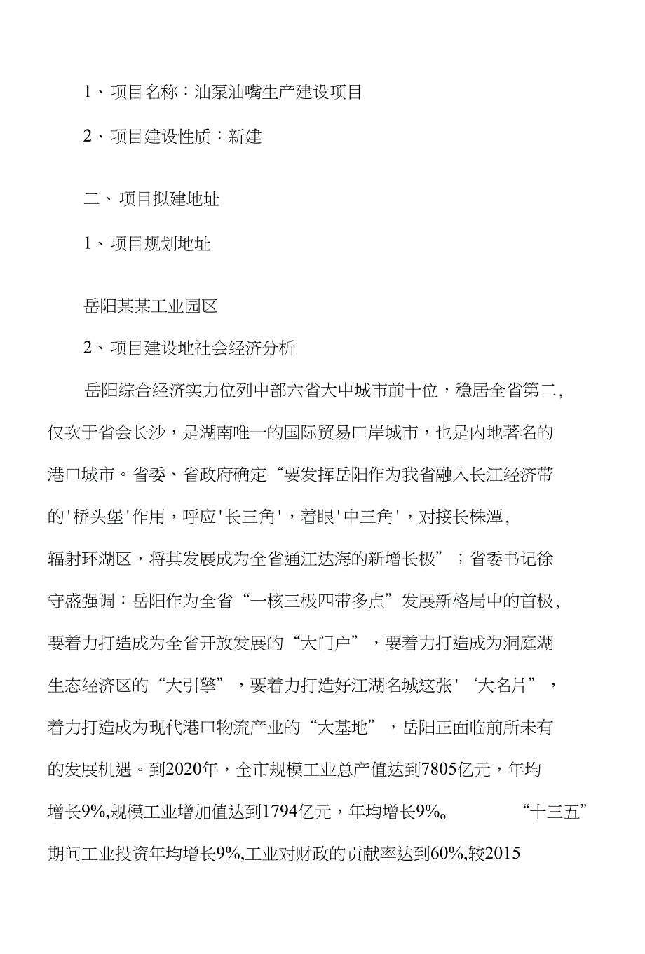 油泵油嘴项目建议书_第2页