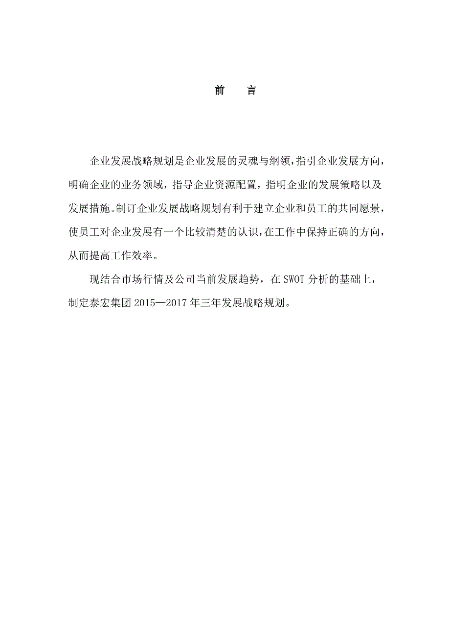 -泰宏集团发展战略研究报告正文_第1页