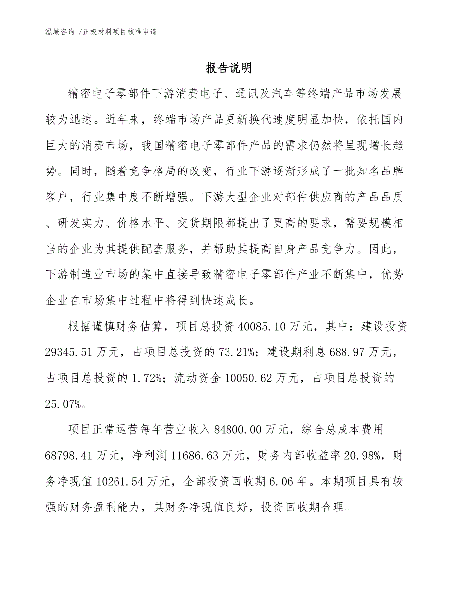 正极材料项目核准申请-模板_第2页