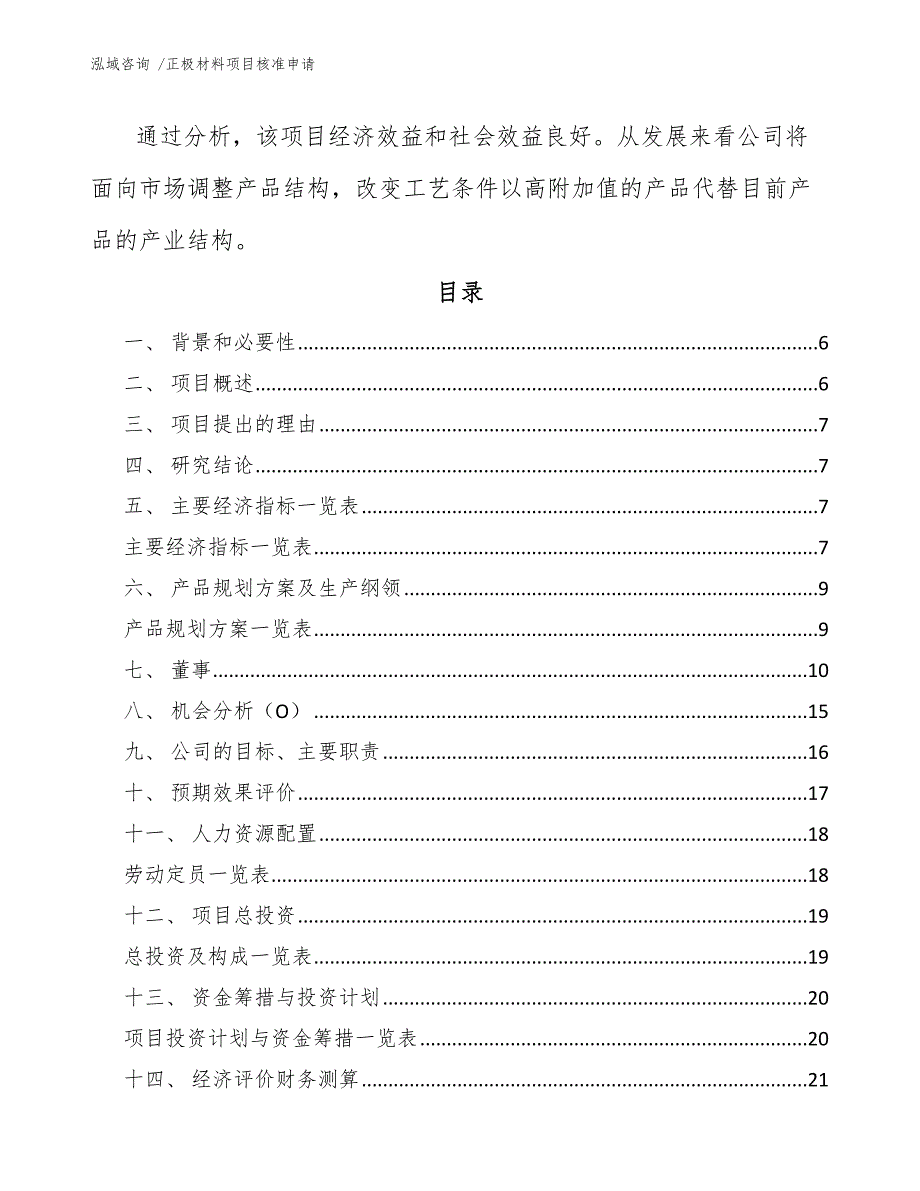 正极材料项目核准申请-模板_第3页