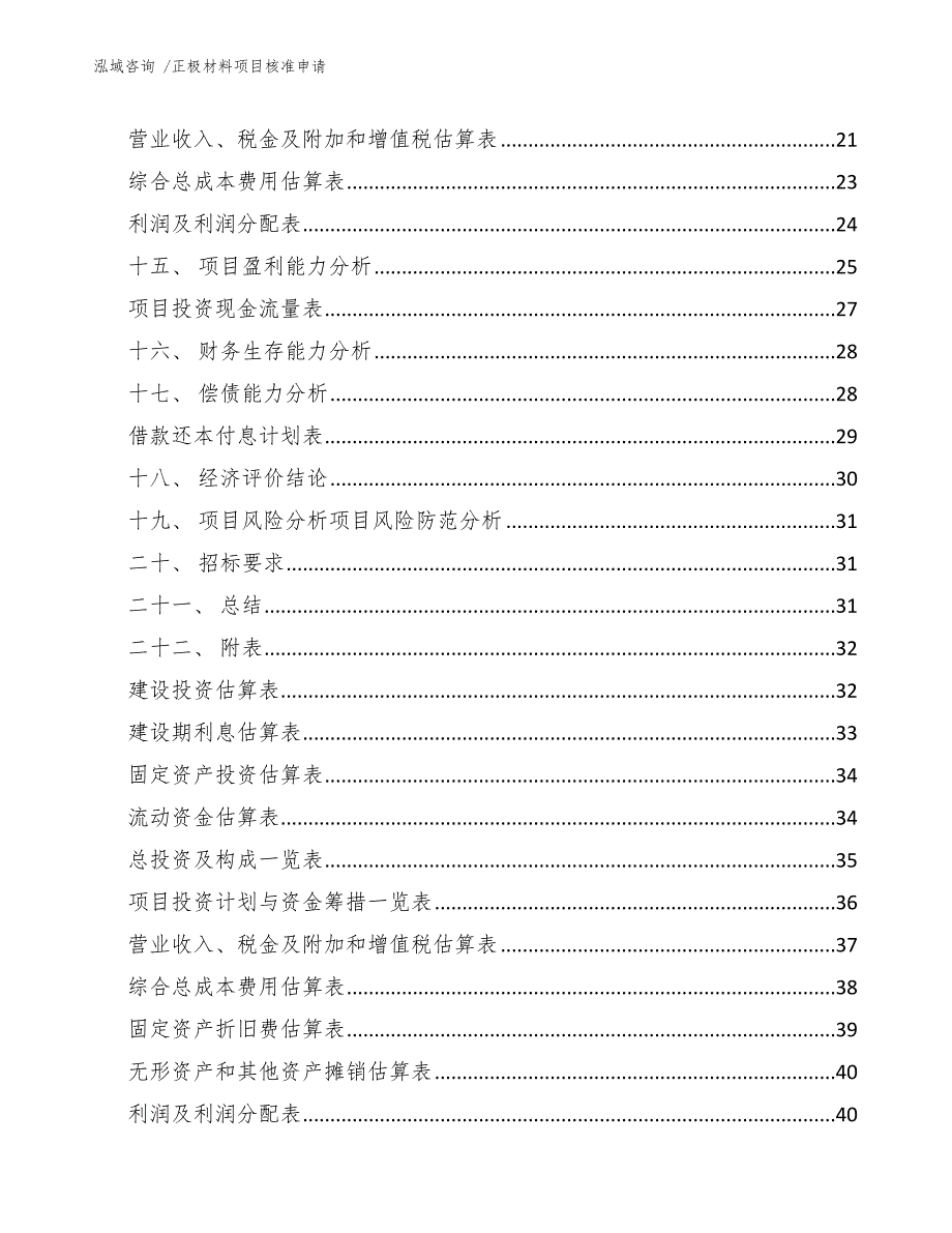 正极材料项目核准申请-模板_第4页