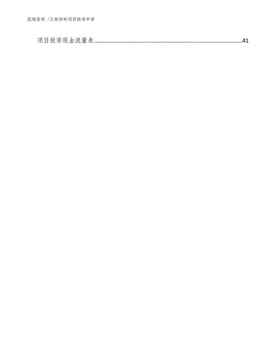 正极材料项目核准申请-模板_第5页