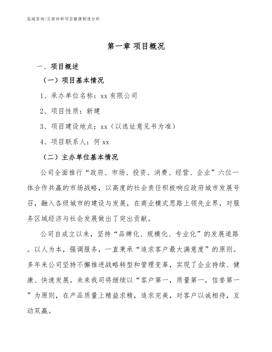 正极材料项目敏捷制造分析_第3页