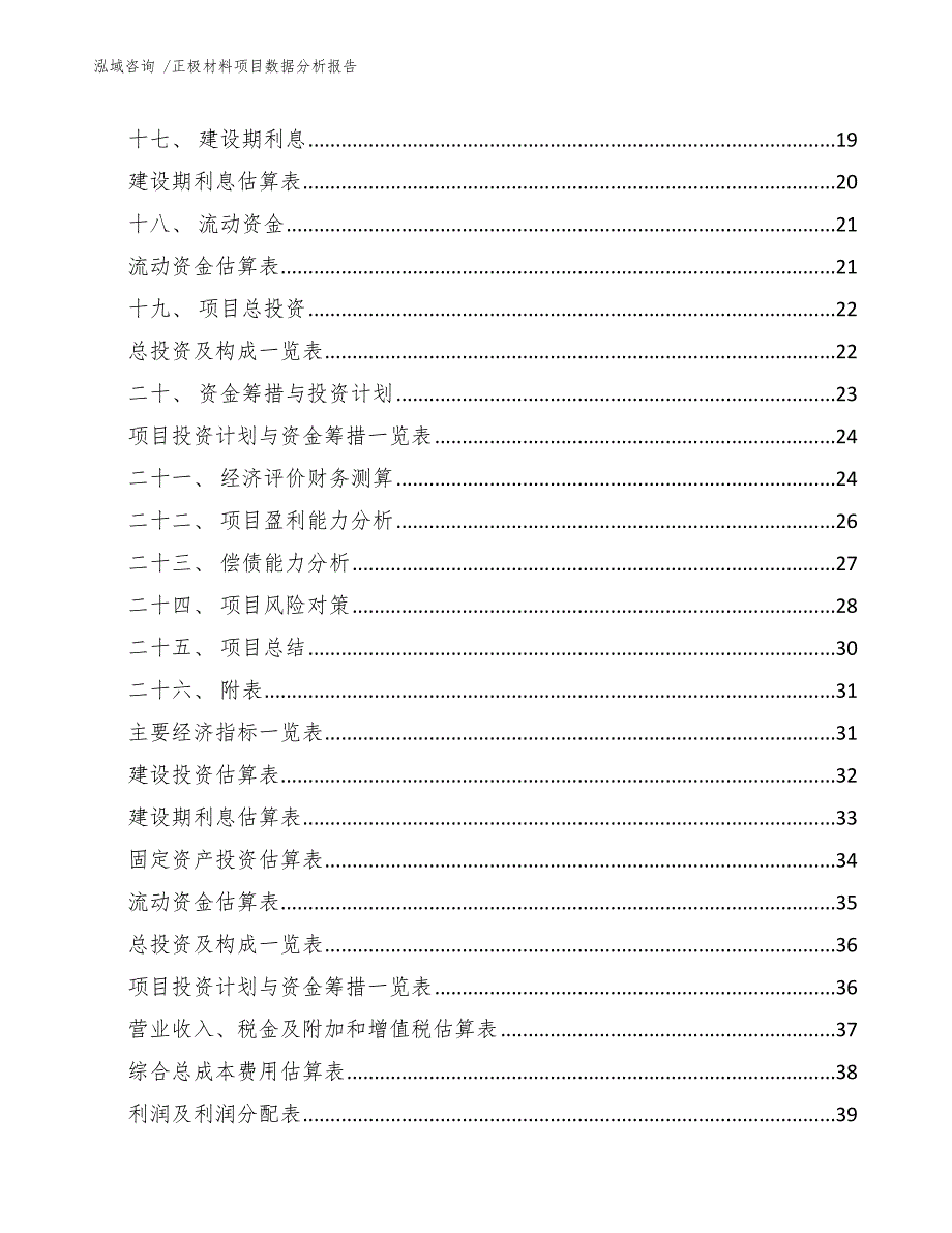 正极材料项目数据分析报告模板范文_第2页