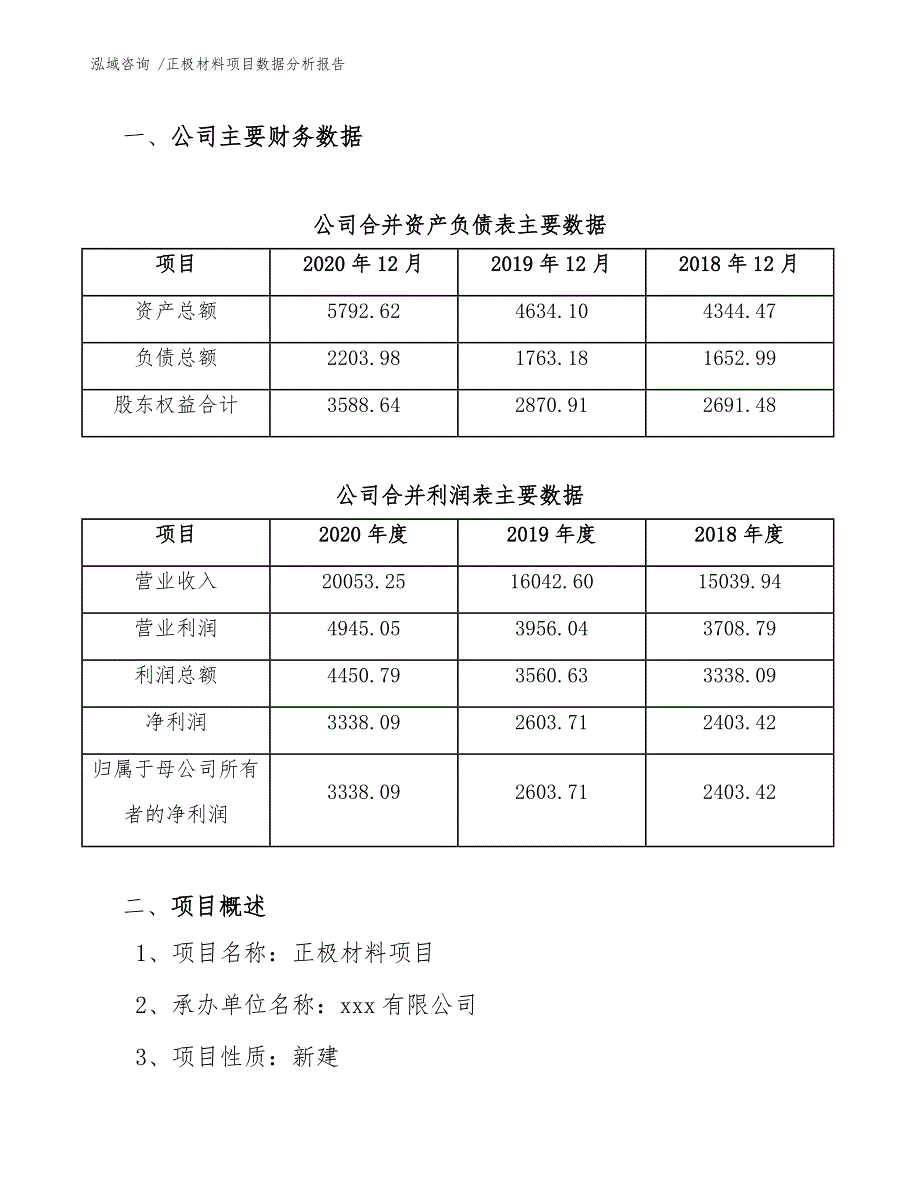 正极材料项目数据分析报告模板范文_第4页