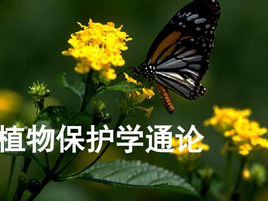 植物保护通论-昆虫部分课件 第2章 昆虫生物学_第1页