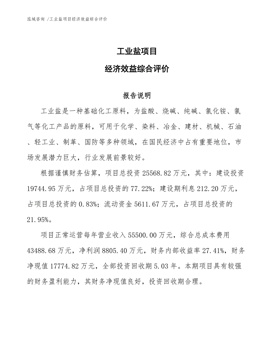 工业盐项目经济效益综合评价_第1页
