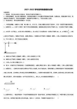 2022届湖北省宜昌第二中学高三第一次模拟考试物理试卷含解析