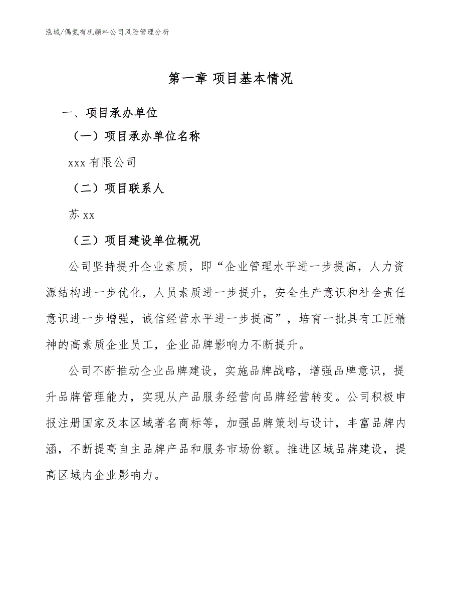 偶氮有机颜料公司风险管理分析（参考）_第4页