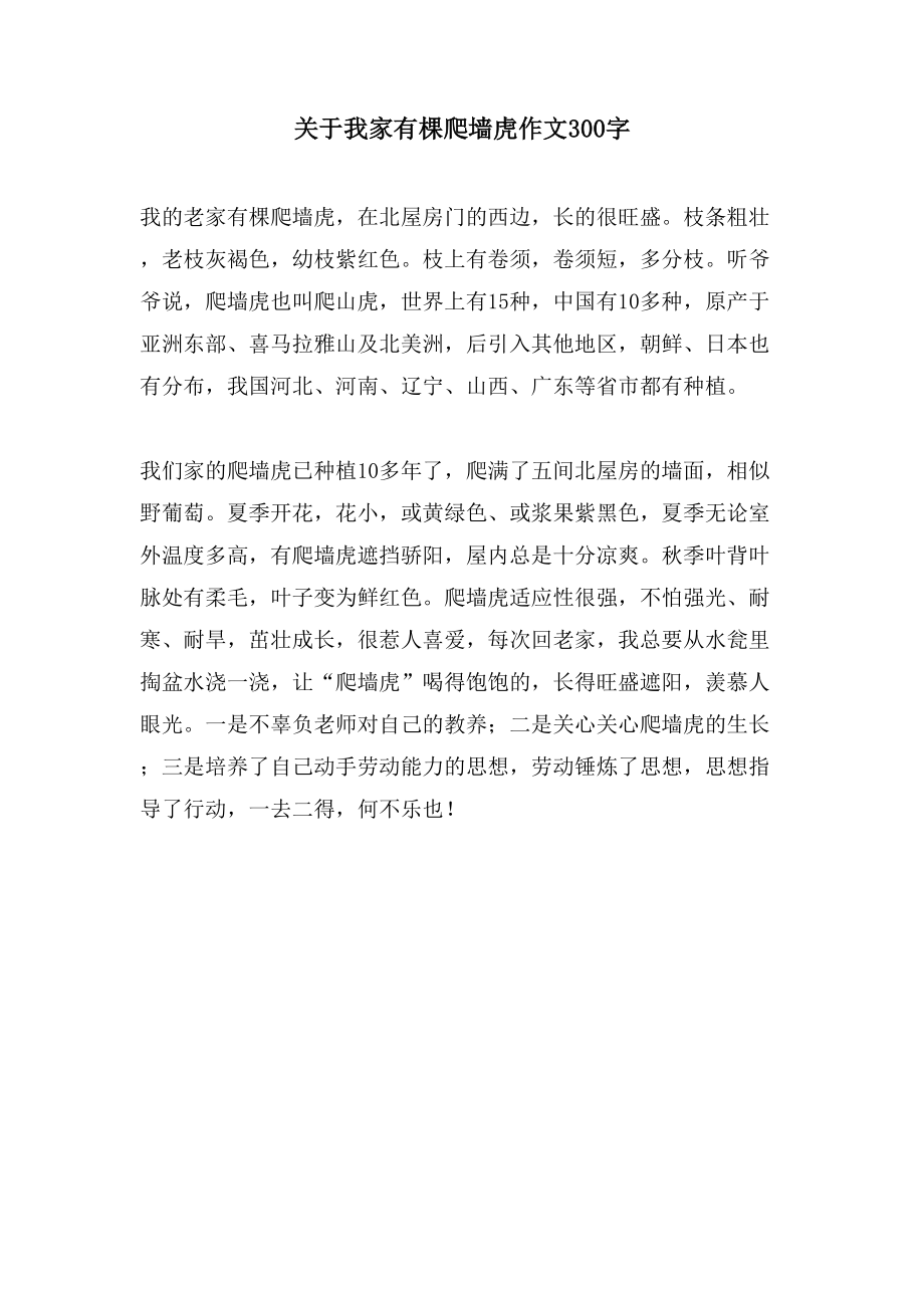 关于我家有棵爬墙虎作文300字_第1页