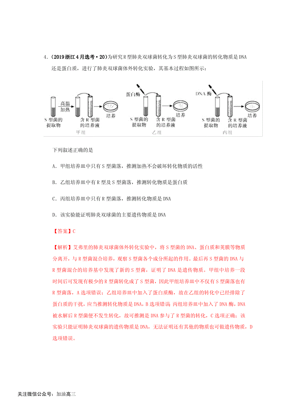 专题七：遗传的分子基础与细胞基础_第3页