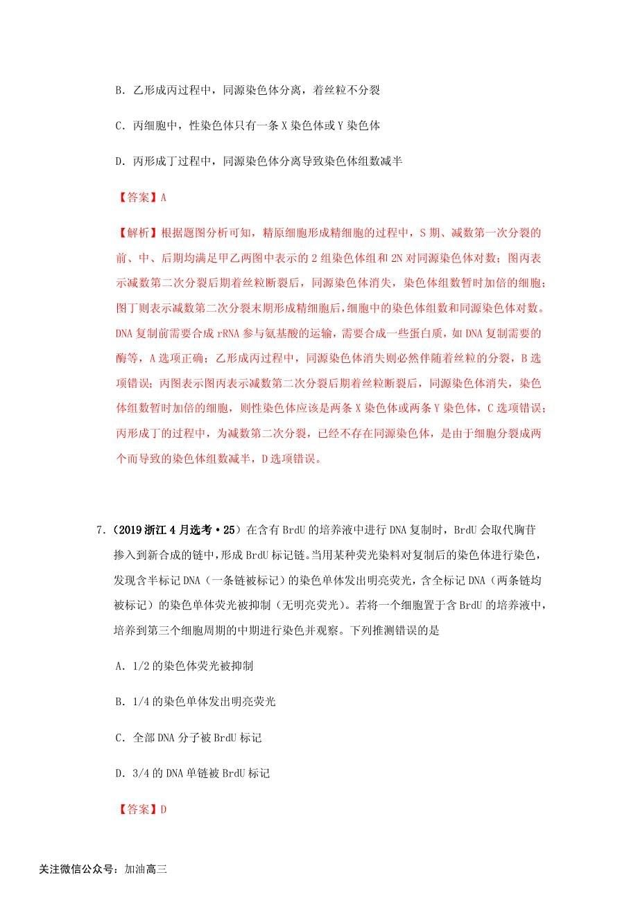 专题七：遗传的分子基础与细胞基础_第5页