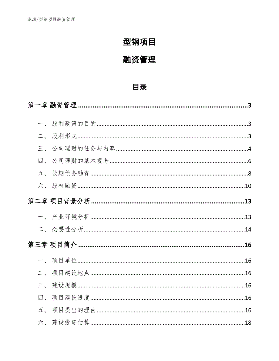 型钢项目融资管理_参考_第1页