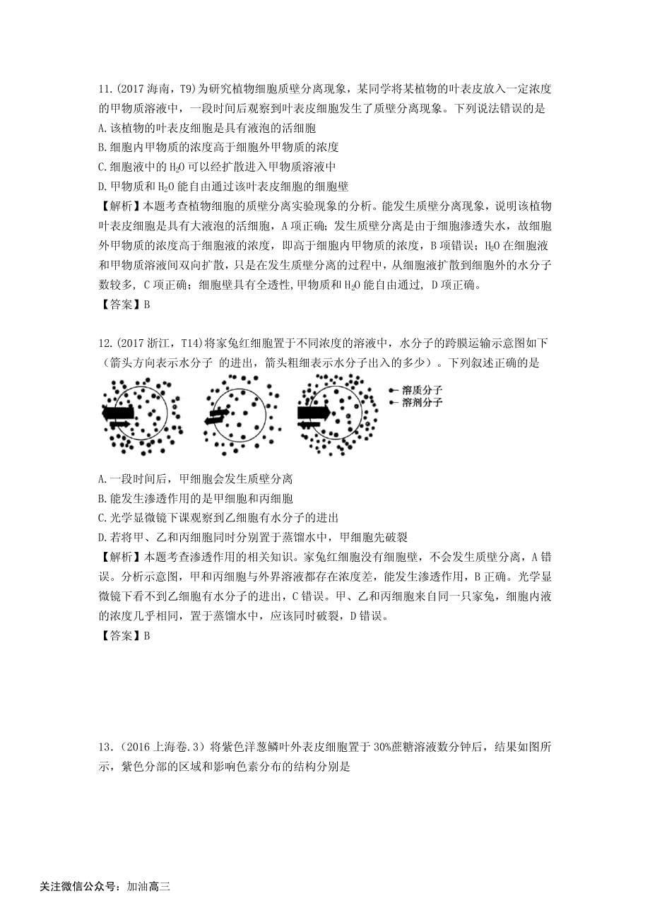 专题三：物质进出细胞的方式_第5页