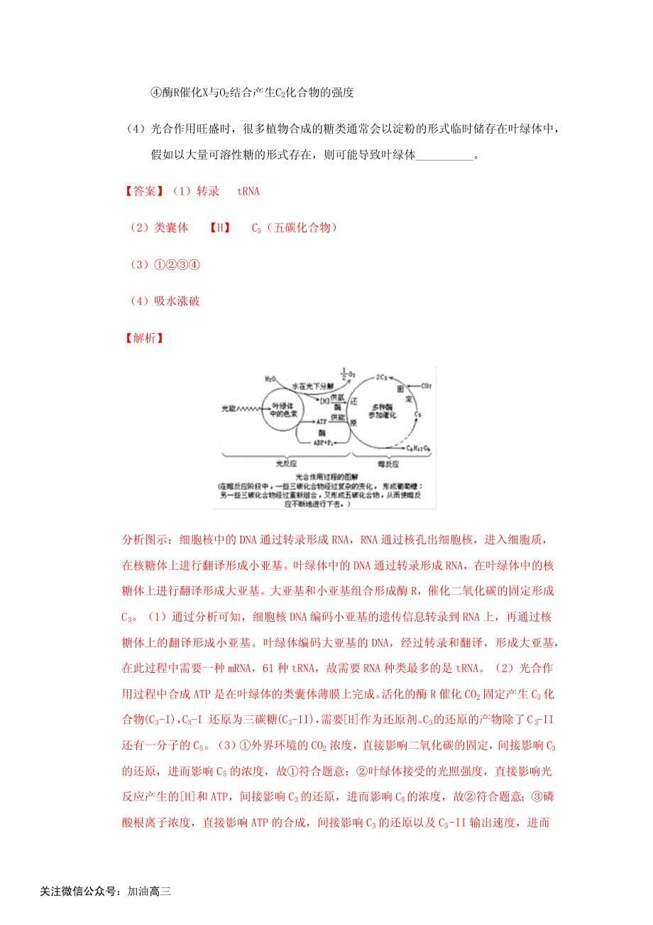 专题五：细胞代谢_第5页