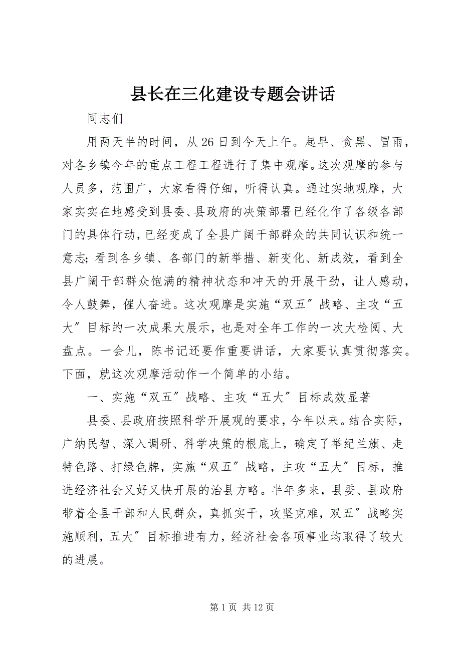 县长在三化建设专题会致辞_第1页