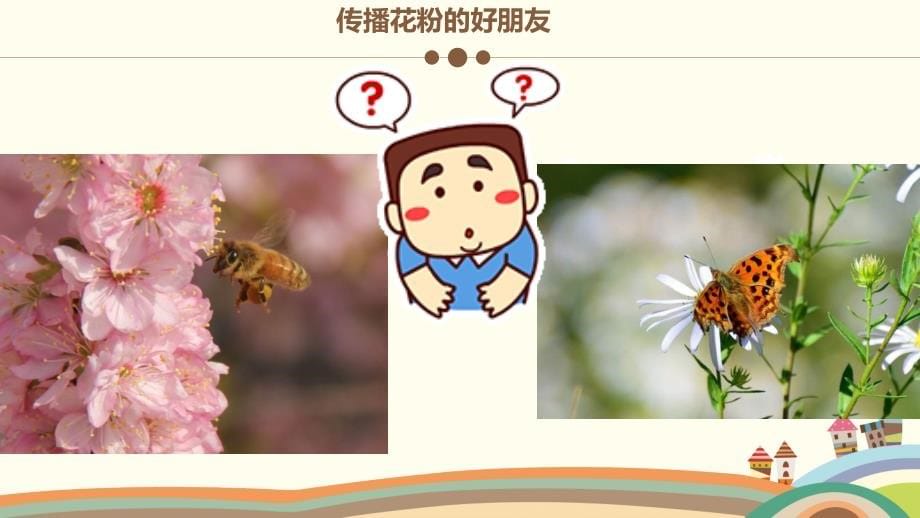 幼儿园课件：中班科学《花的时钟》_第5页