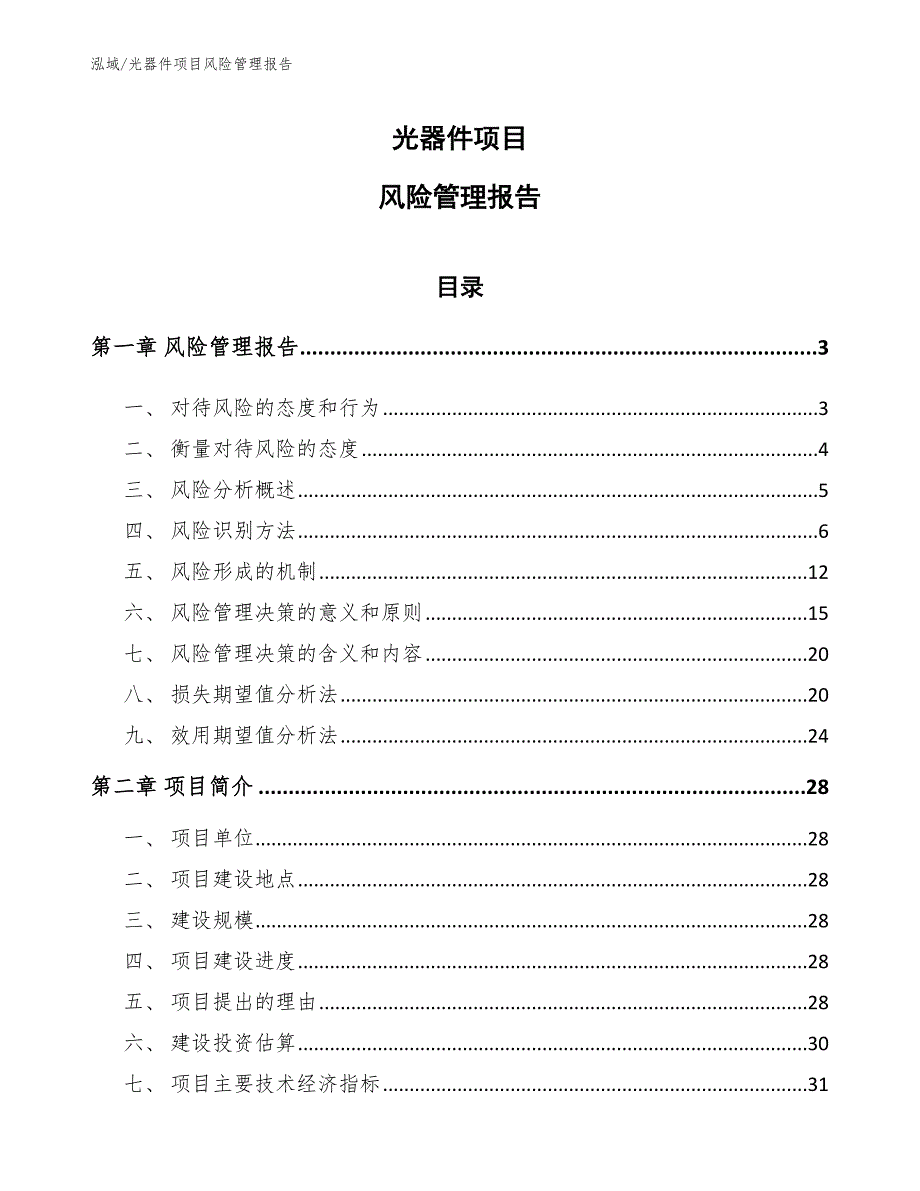 光器件项目风险管理报告【参考】_第1页