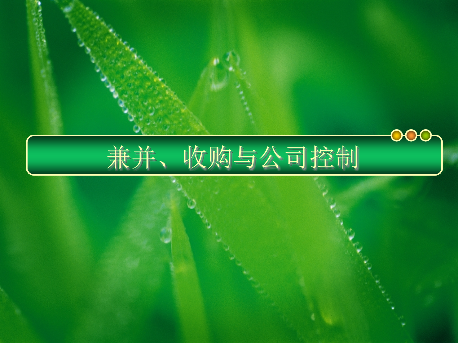 《收购与公司控制》PPT课件_第1页