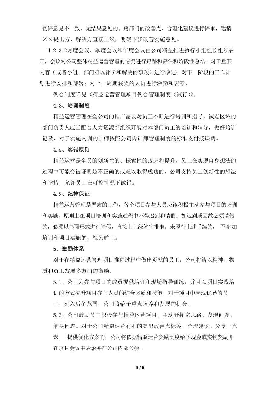 公司精益运营项目实施管理制度_第5页