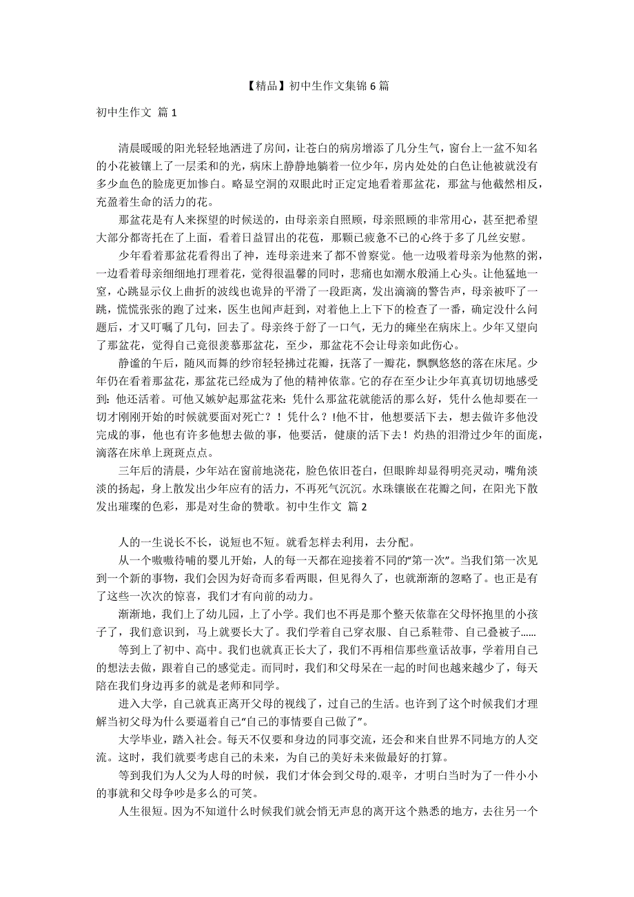 【精品】初中生作文集锦6篇_第1页