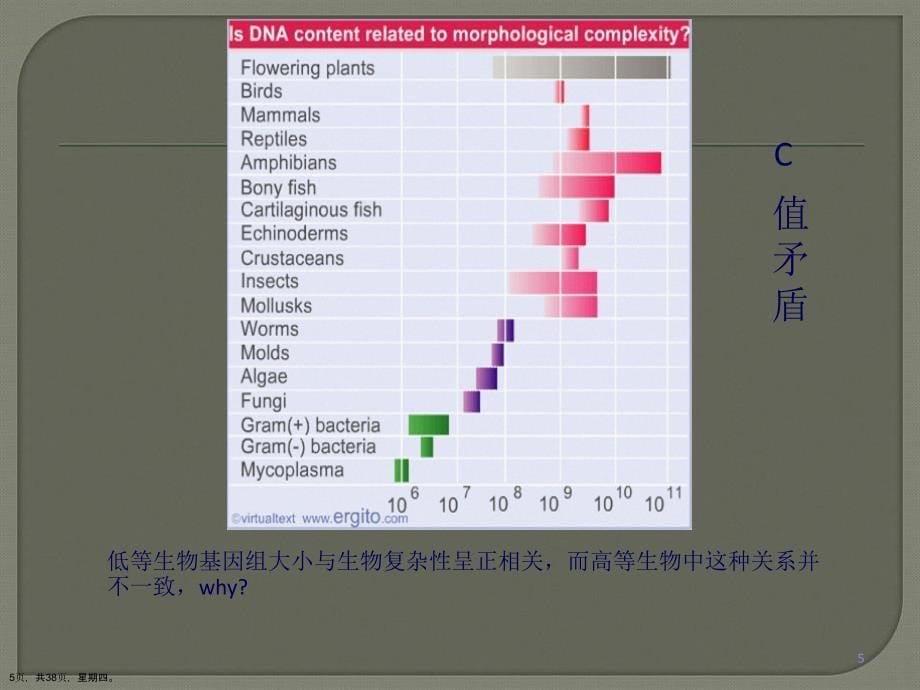 基因组学课件演示文稿_第5页