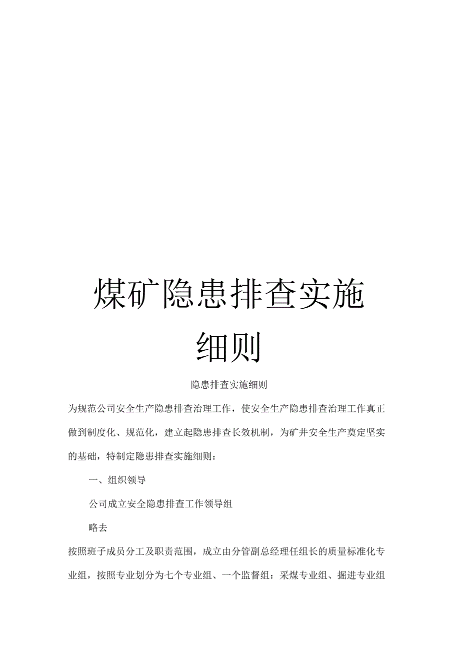 煤矿隐患排查实施细则模板_第1页