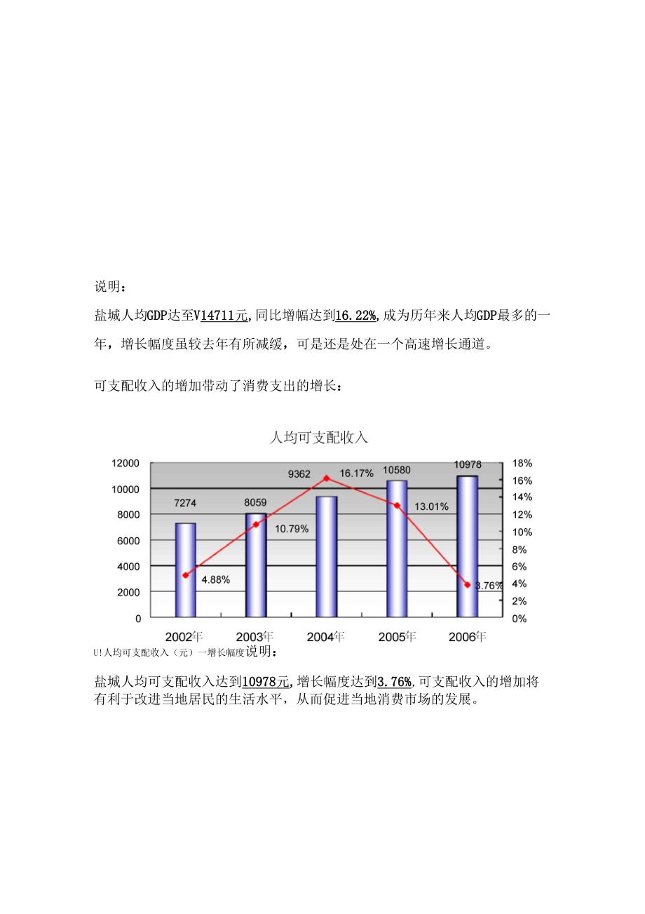 盐城商业项目市场策划模板_第4页