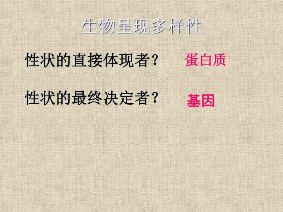 基因指导蛋白质的合成课件新人教版必修2_第3页