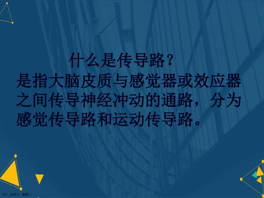 大脑皮质的感觉功能演示文稿_第4页