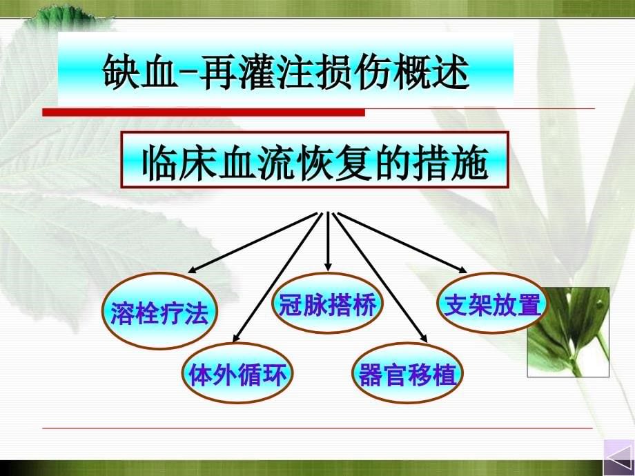 病理生理学课件(石磊)病生缺血再灌注损伤_第5页