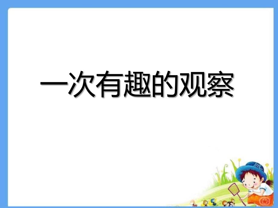 《一次有趣的观察》PPT课件2_第1页