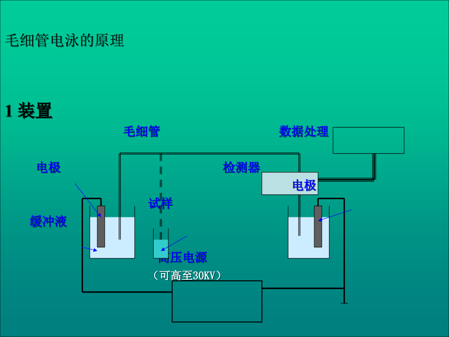 毛细管电泳分离原理及分析策略教材ppt课件_第4页