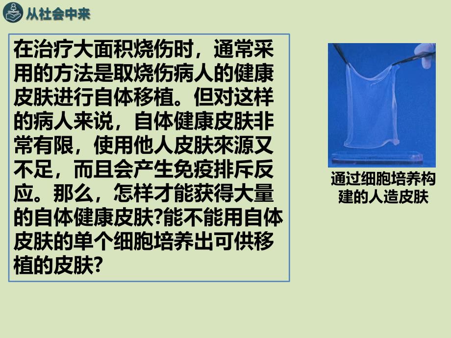 【课件】2.2动物细胞工程课件2021-2022学年高二下学期生物人教版选择性必修3_第2页