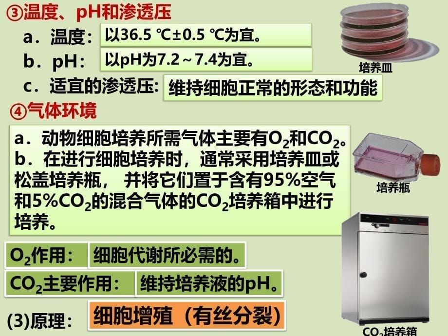 【课件】2.2动物细胞工程课件2021-2022学年高二下学期生物人教版选择性必修3_第5页