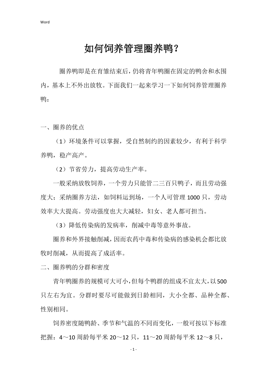 如何饲养管理圈养鸭_第1页