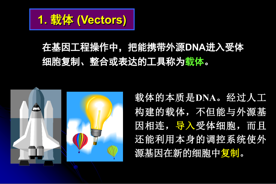 基因克隆与表达的载体_第4页