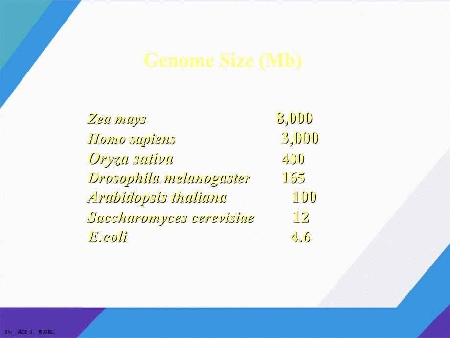 基因组测序与序列组装演示文稿_第5页
