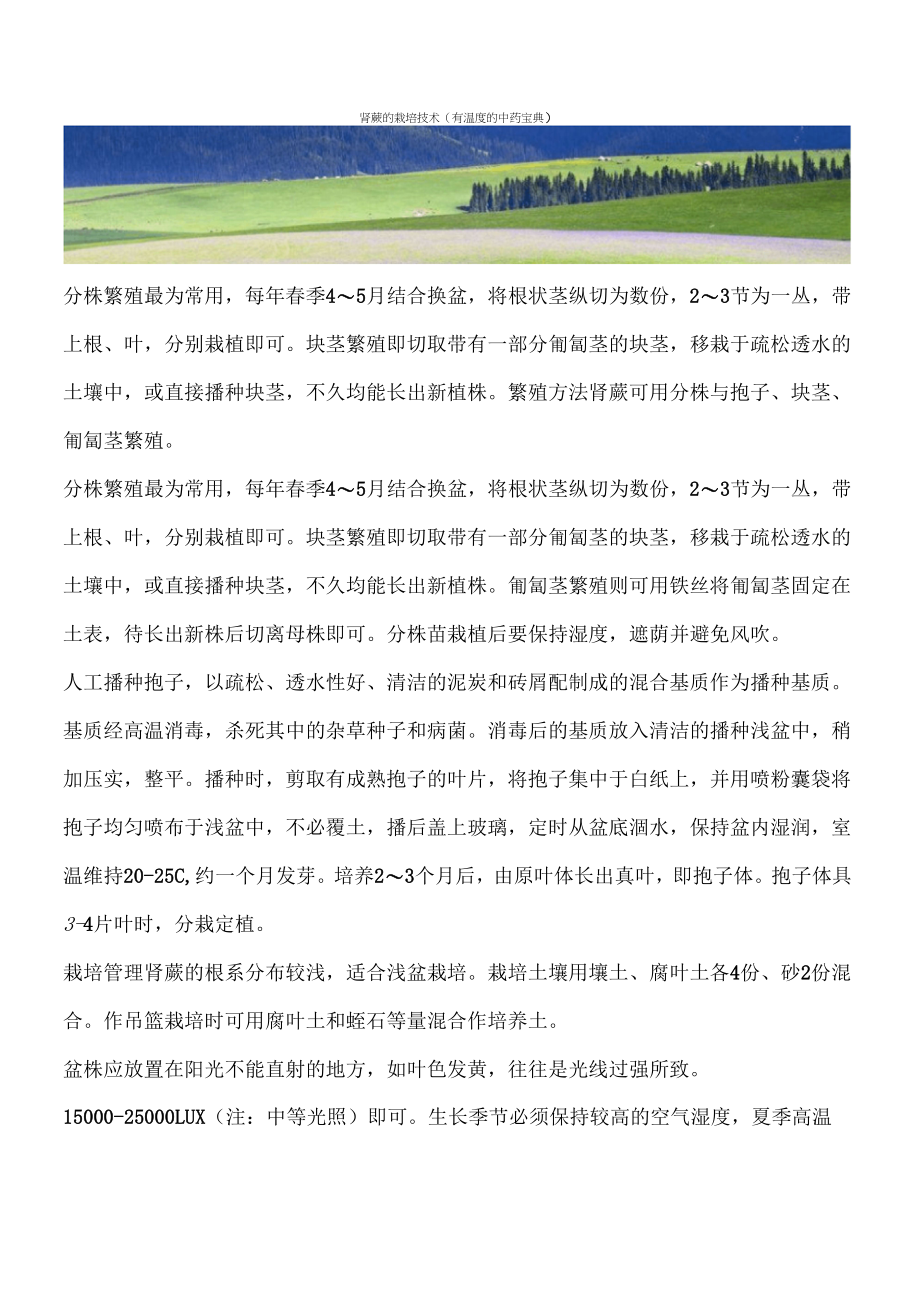 肾蕨的栽培技术(有温度的中药宝典)_第1页
