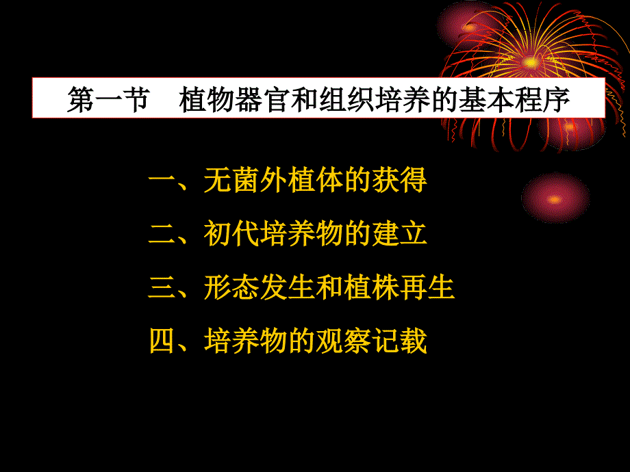 植物器官和组织培养ppt课件_第3页