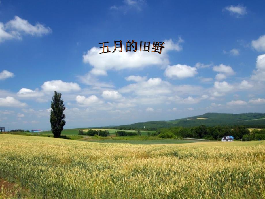 《五月的田野》PPT课件_第1页