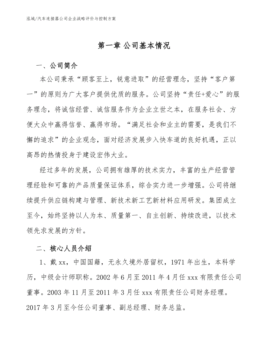 汽车连接器公司企业战略评价与控制方案（范文）_第3页