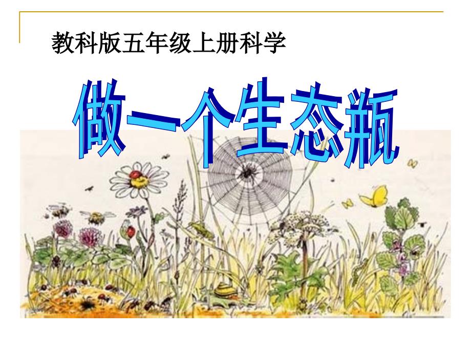 《做一个生态瓶》生物与环境PPT课件4_第1页