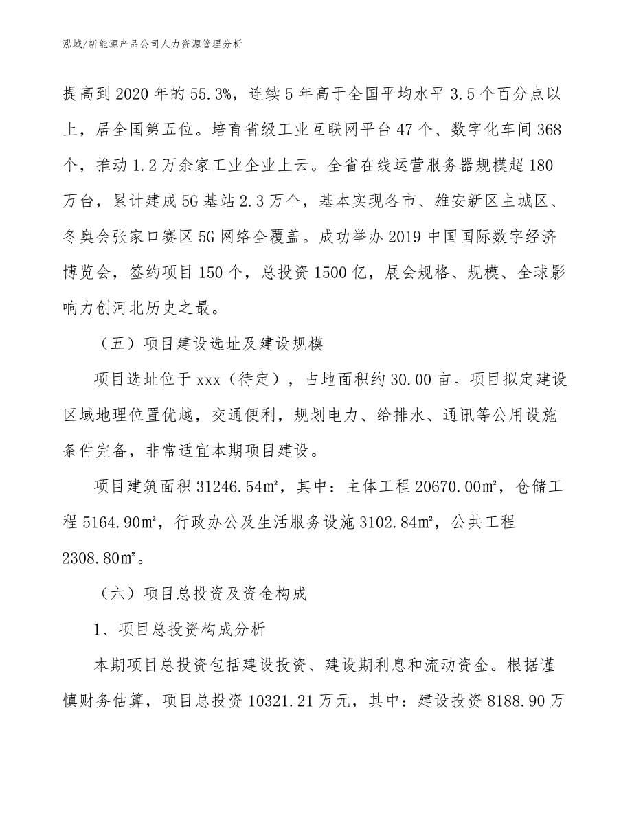 新能源产品公司人力资源管理分析_第5页