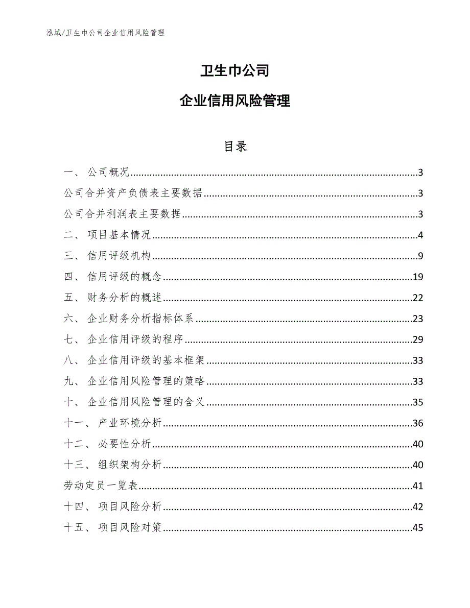 卫生巾公司企业信用风险管理【参考】_第1页