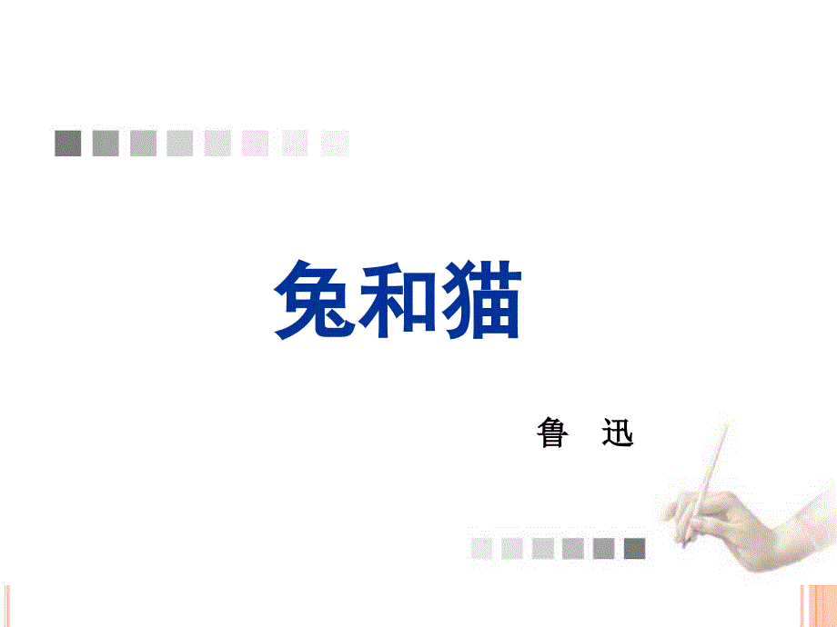 《兔和猫》ppt课件_第1页