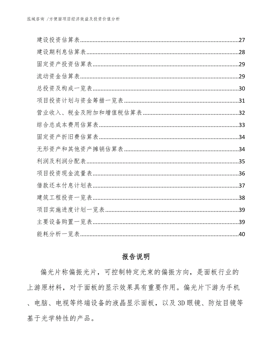 方便面项目经济效益及投资价值分析-模板_第2页