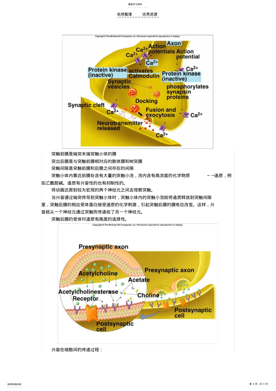 2022年高二生物第二章通过神经系统的调节知识精讲人教实验版_第4页